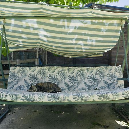 Estudio Adosado Con Jardin Y Parking Privado Alicante Zewnętrze zdjęcie